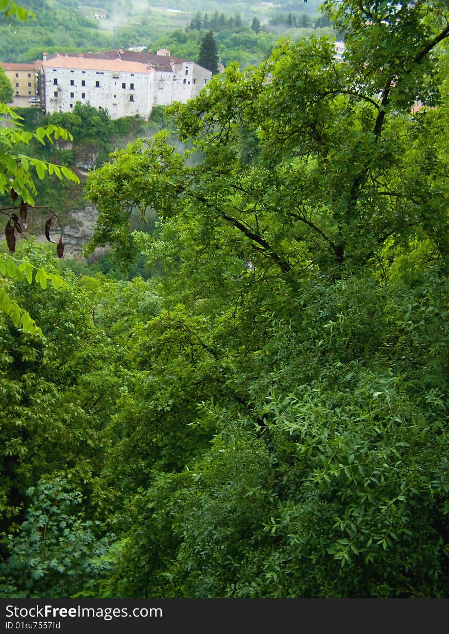 Castle In Rainy Forest