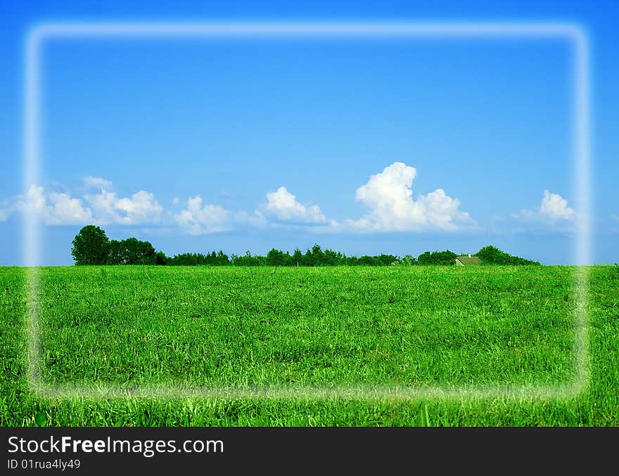 The beautiful summer landscape fields