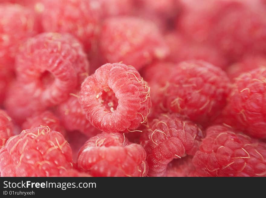 Raspberry. Fresh gathered berries, focus on central one