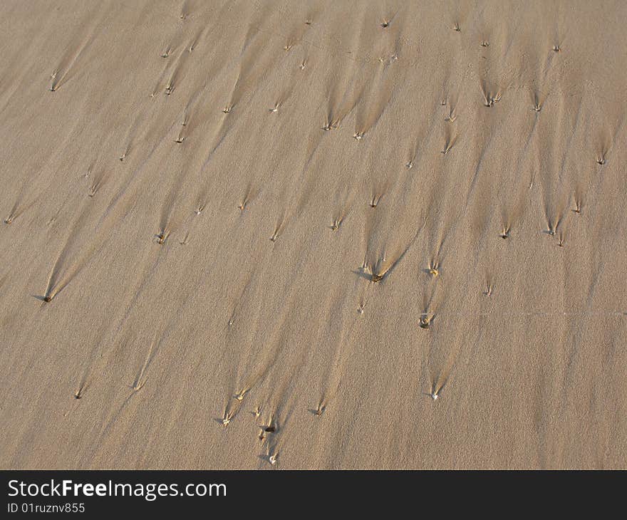 Textured sandy beach