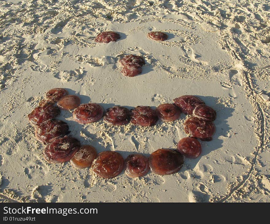 Smiley on a sandy beach made with Jelly fishes. Palawan. Philippines. Smiley on a sandy beach made with Jelly fishes. Palawan. Philippines