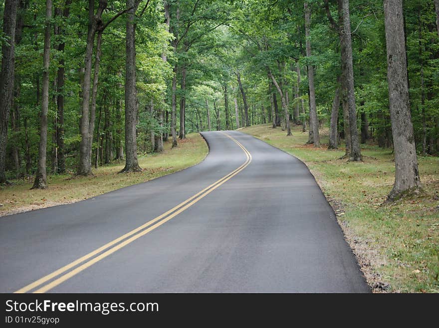 A quiet drive throught the rolling hills of a Tennessee State Park. A quiet drive throught the rolling hills of a Tennessee State Park