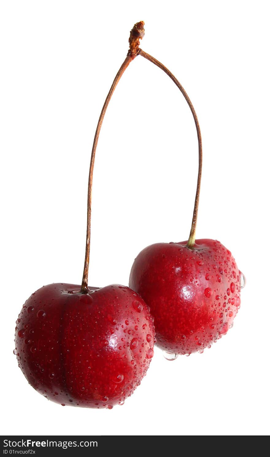 Sweet cherry on a white background, it is isolated