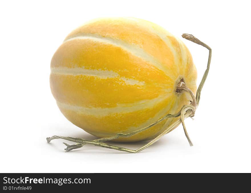 Ripe and juicy yelow melon