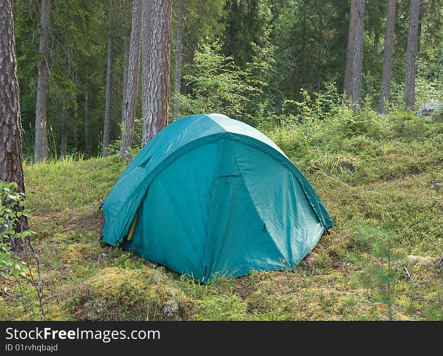 A sea-green camping tent in Karelian forest. A sea-green camping tent in Karelian forest