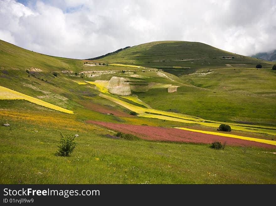 Colors landscape