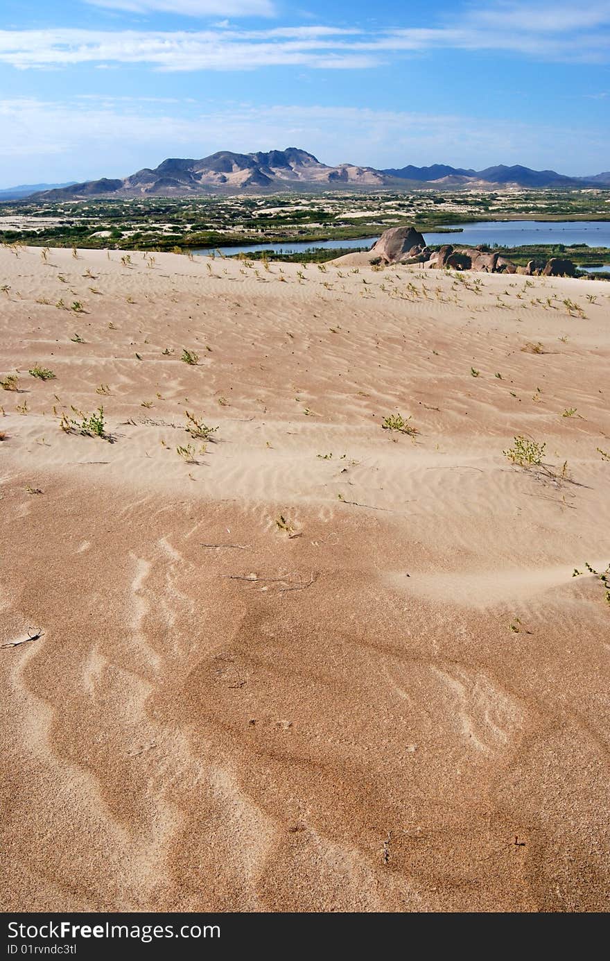 The lake in the desert. The lake in the desert