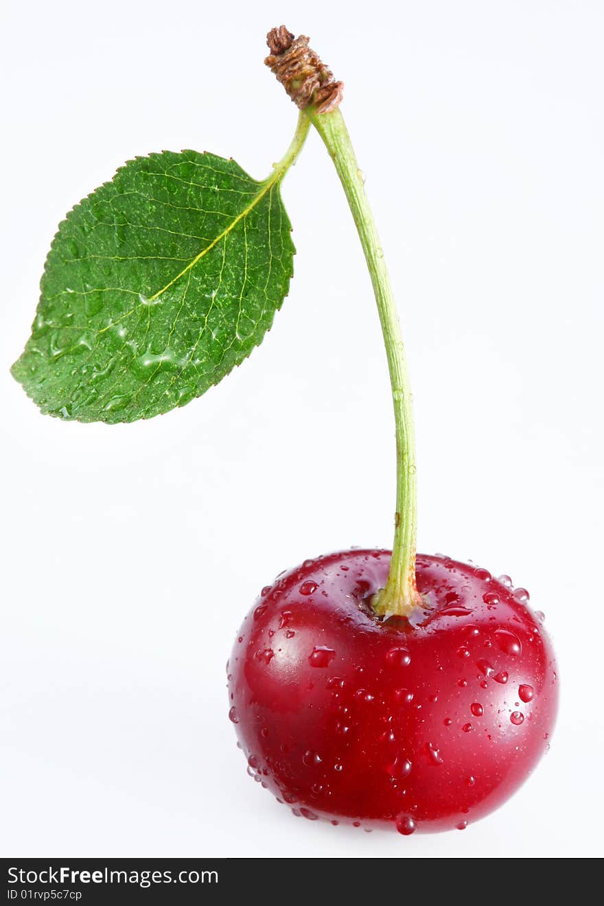 Cherry on a white background