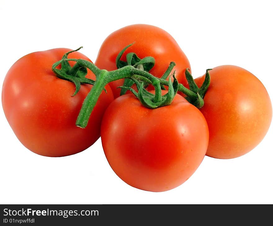 The branch with tomatoes isolated on white background