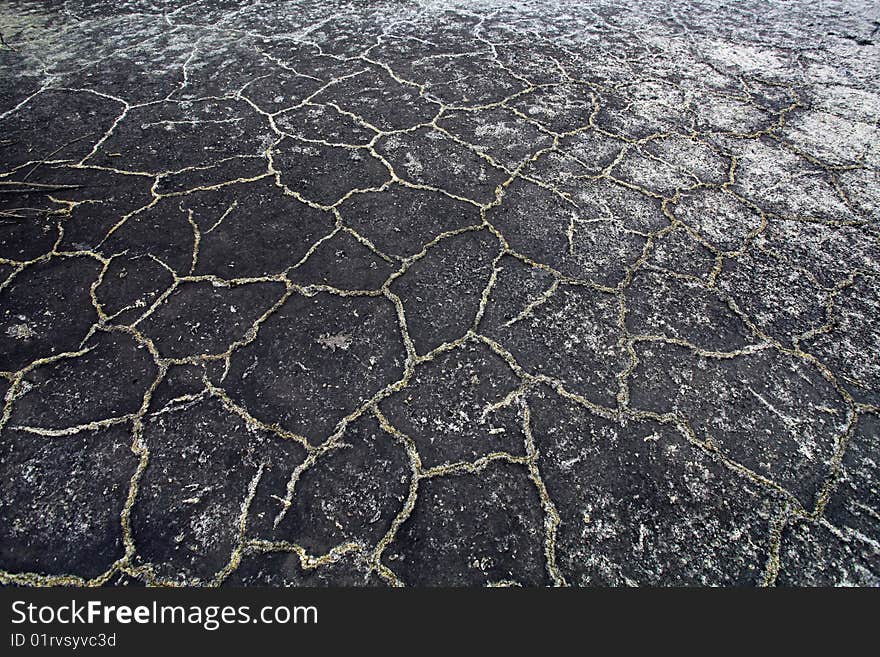 The dried up earth