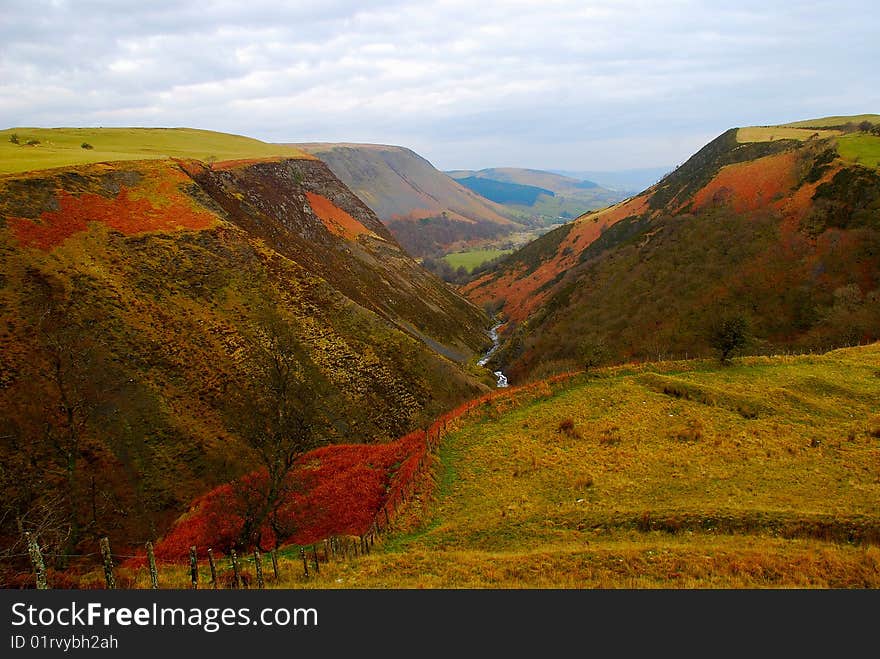 A welsh dale