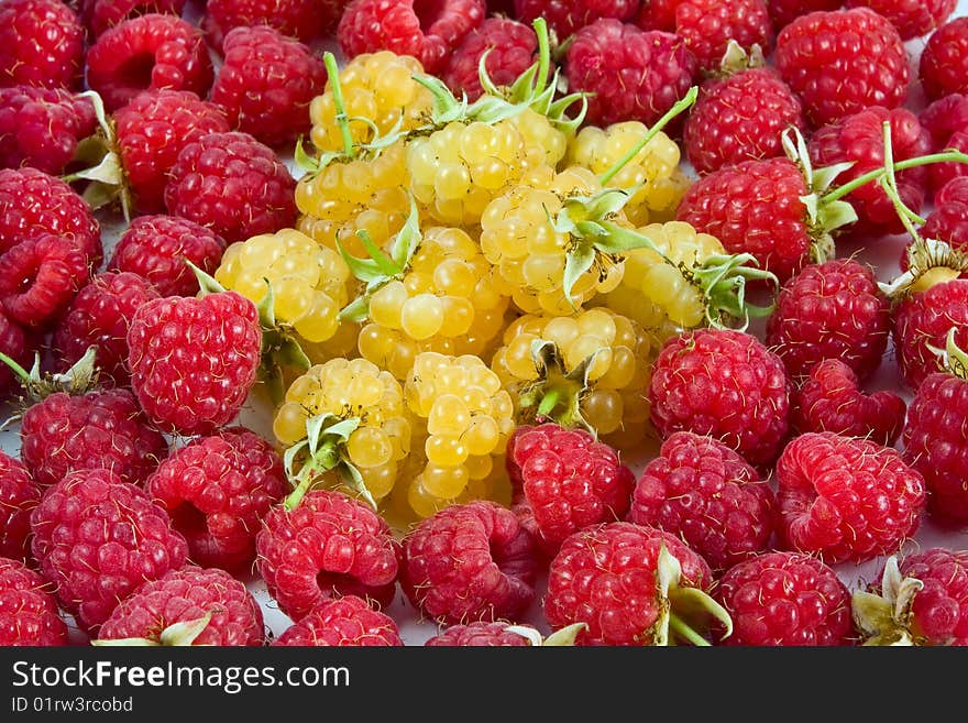 Ripe raspberries