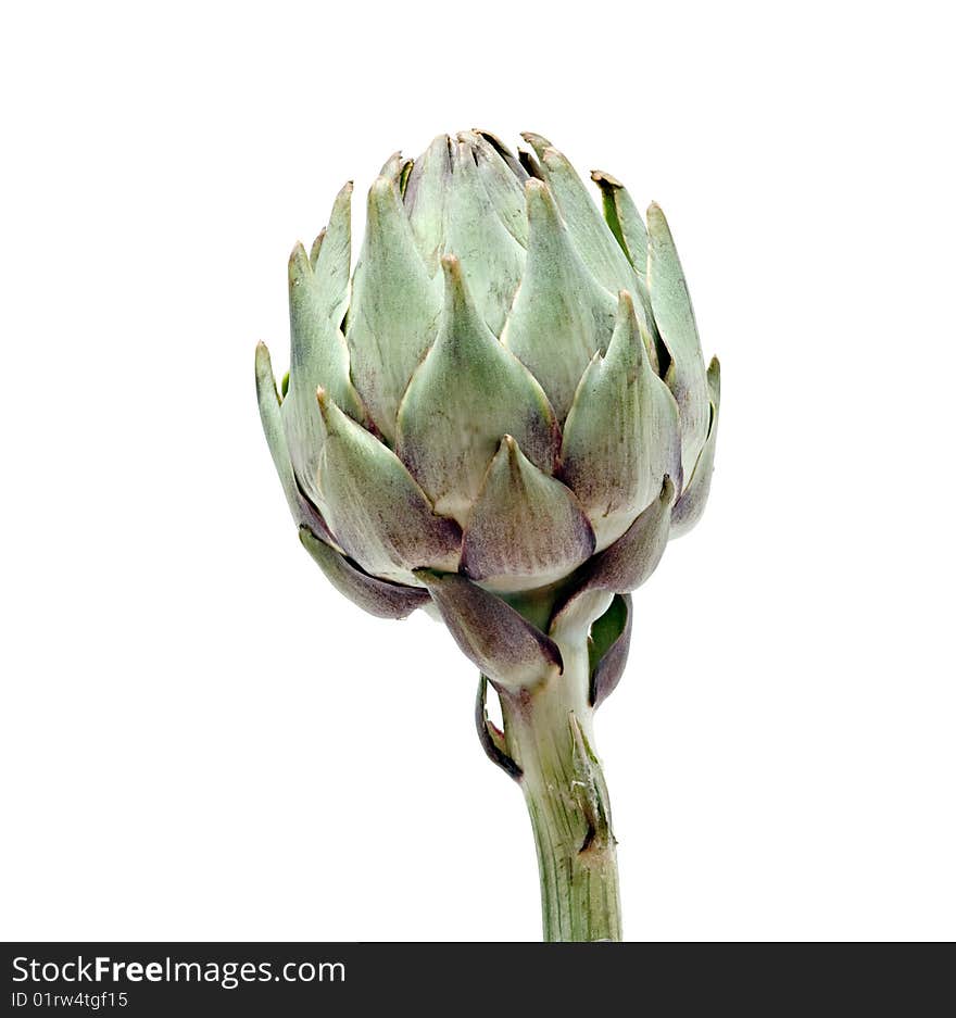 Artichoke globe isolated on white background