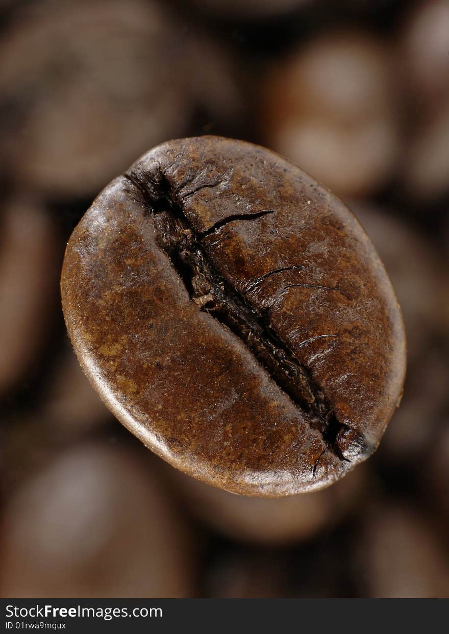 Coffee bean in deep shadows