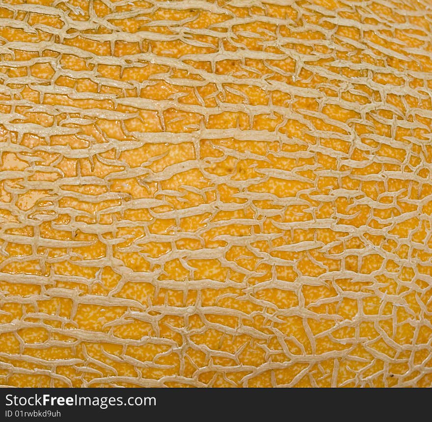 Close up of muskmelon peel. Close up of muskmelon peel