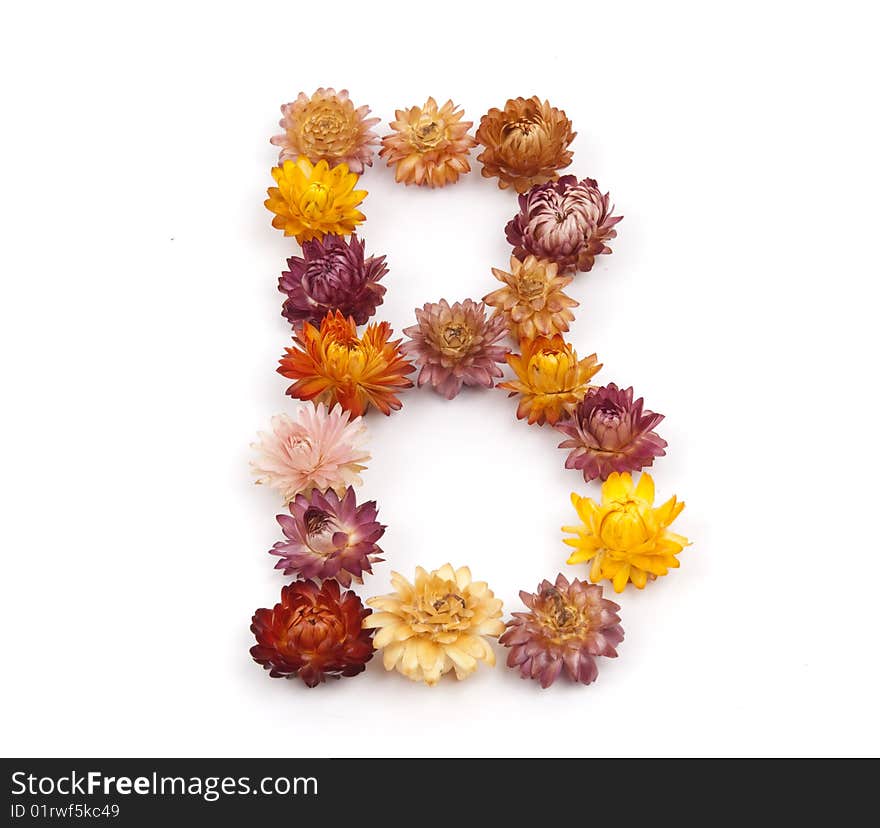 Alphabet of daisy on white background. Alphabet of daisy on white background