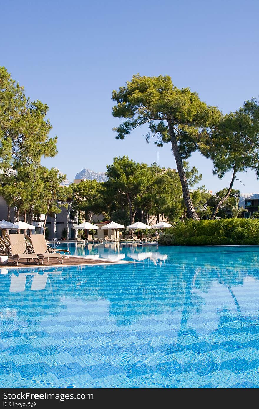 Swimming pool on a sunny day