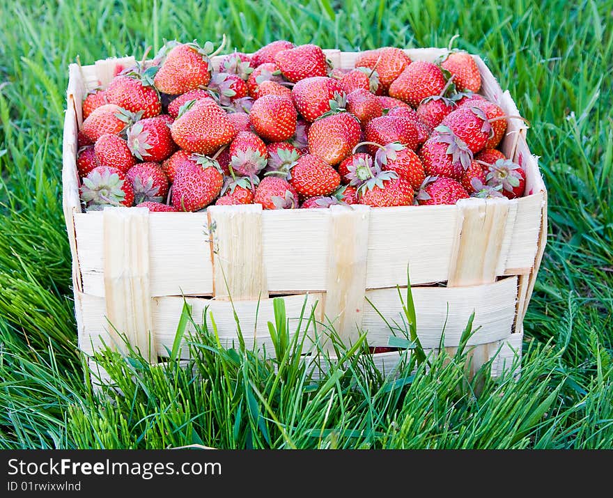 Group of fresh, succulent strawberries