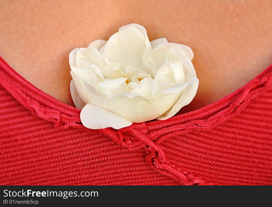 White dog-rose in low-neck bodice on background of skin.