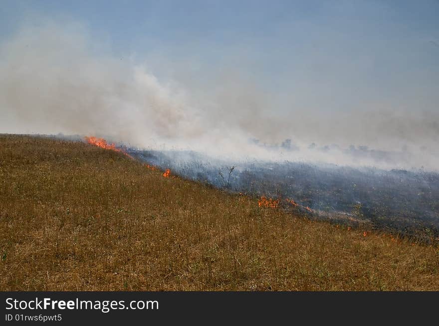 Fire in steppe in hot weather