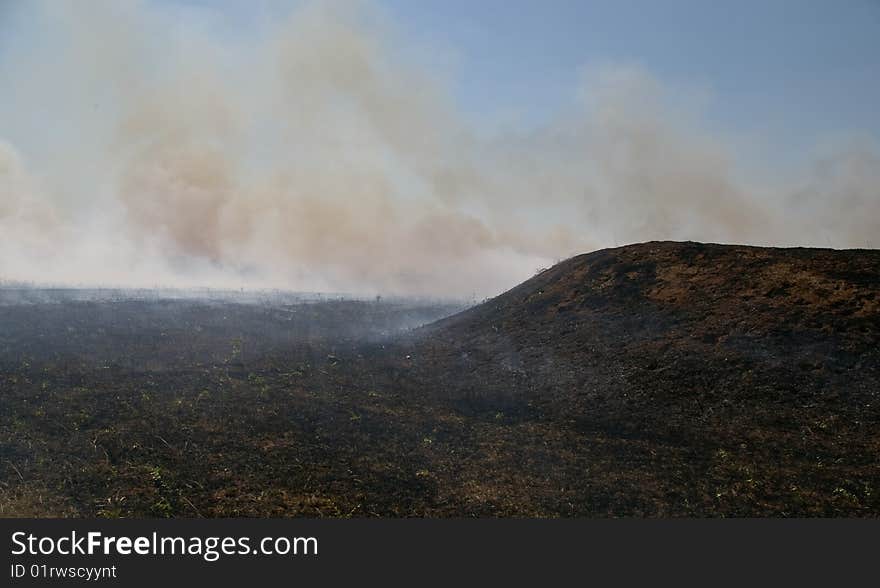 Fire in steppe