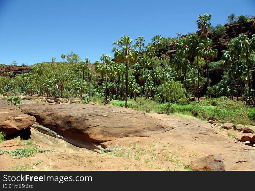 View of Palm Valley, Northern Territory, Australia. View of Palm Valley, Northern Territory, Australia.