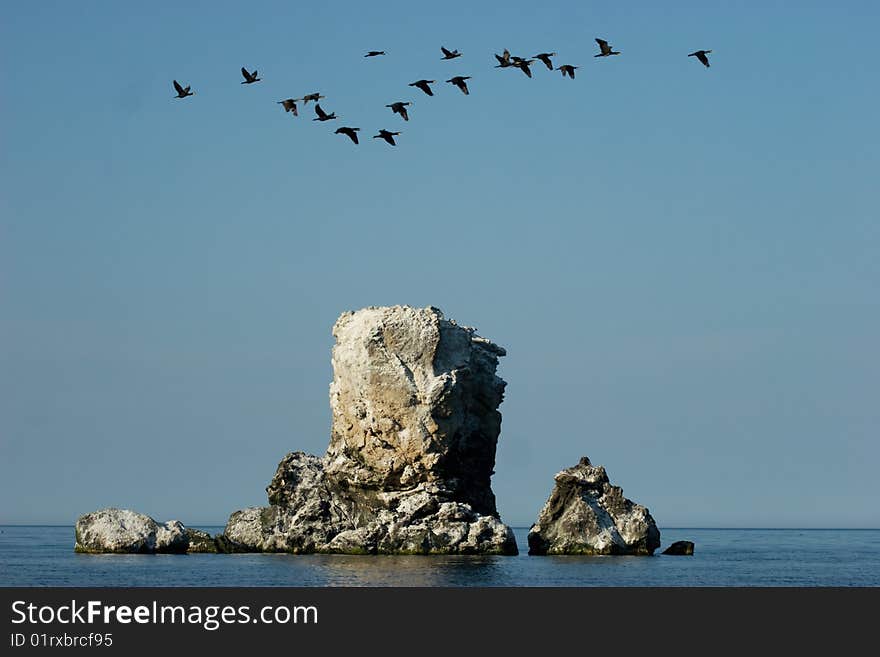 Birds flying by over a rock in the sea