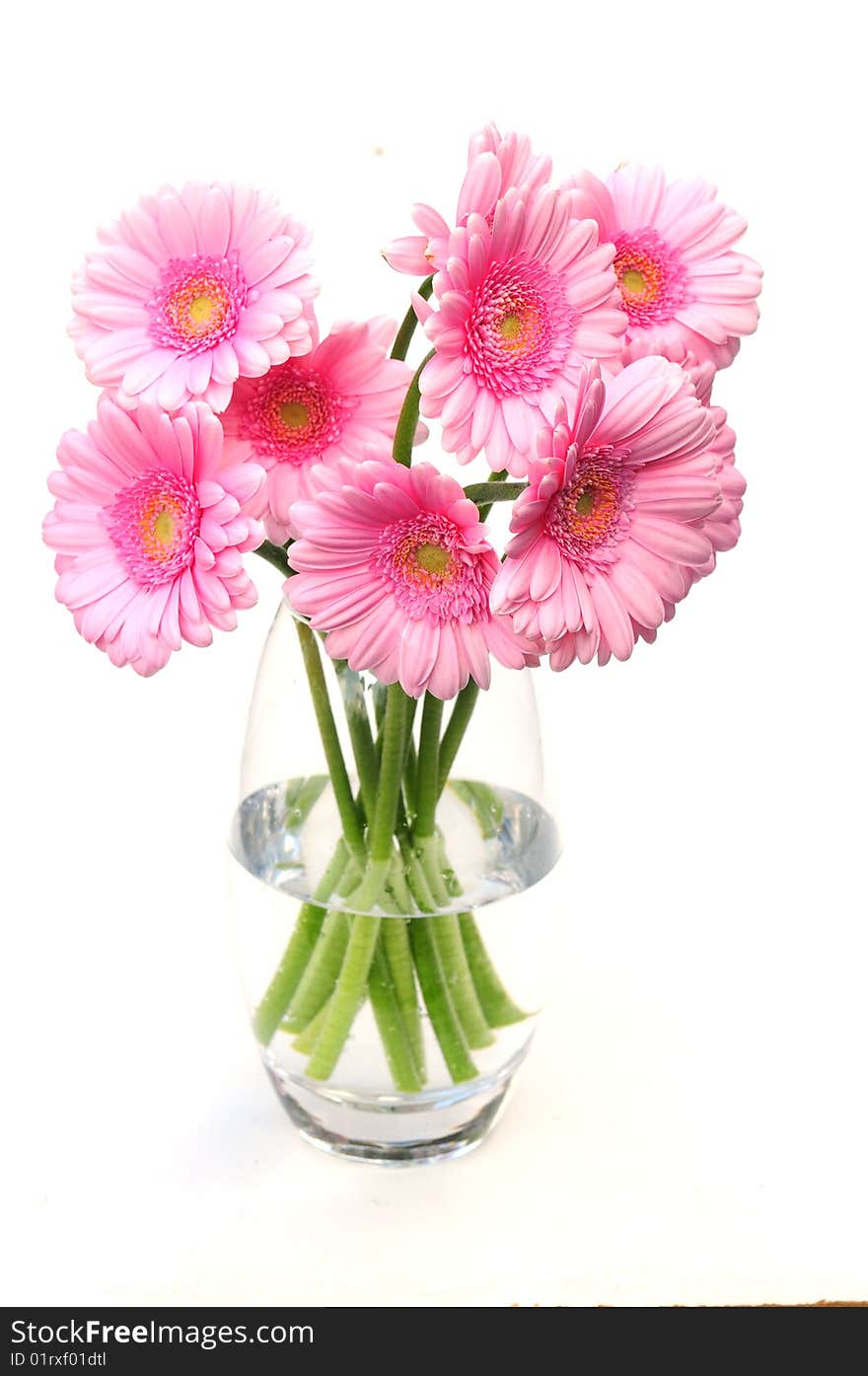 A shot of a vase of gerbera flowers. A shot of a vase of gerbera flowers