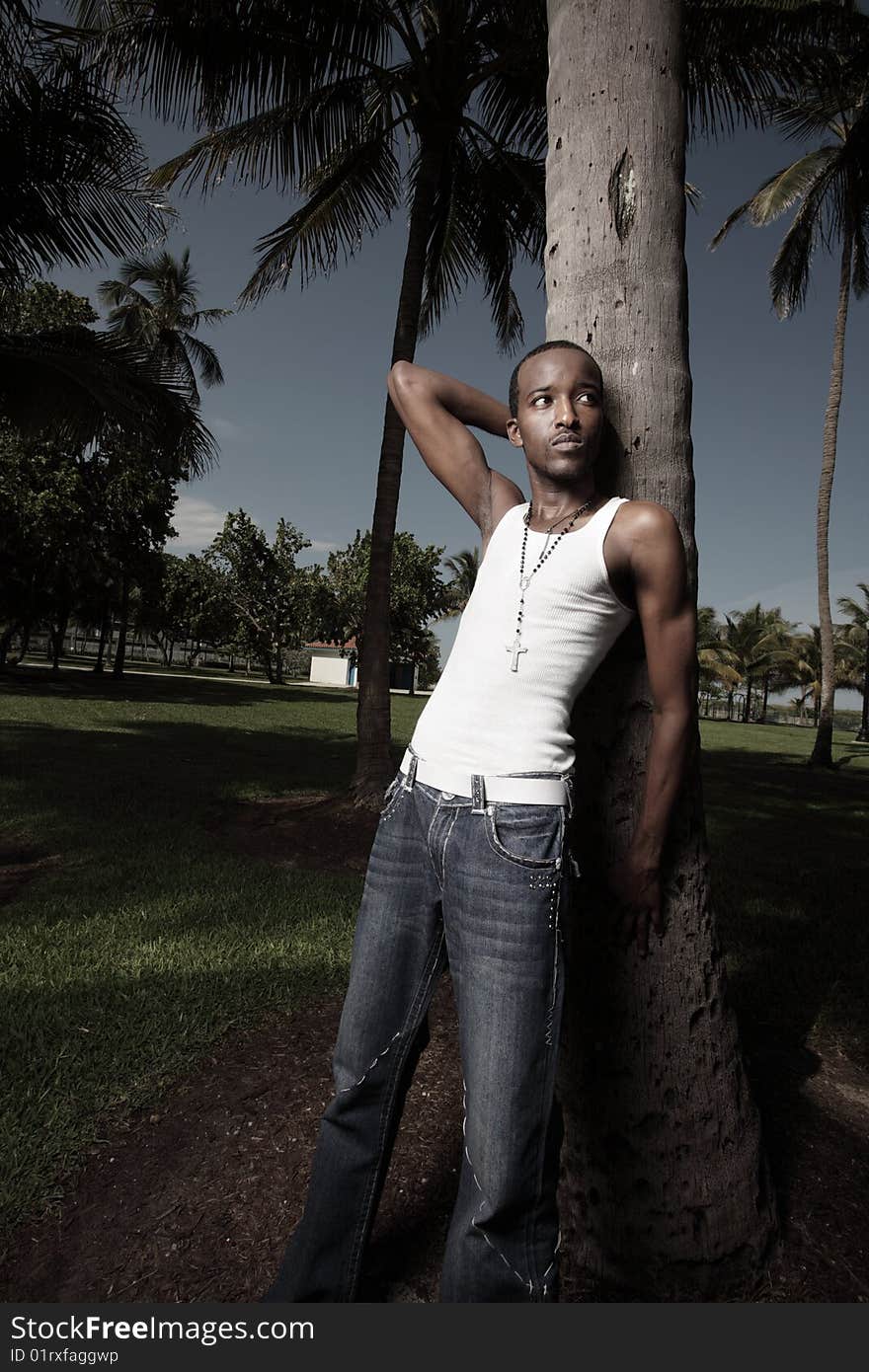 Young African American male leaning on a tropical palm tree. Young African American male leaning on a tropical palm tree