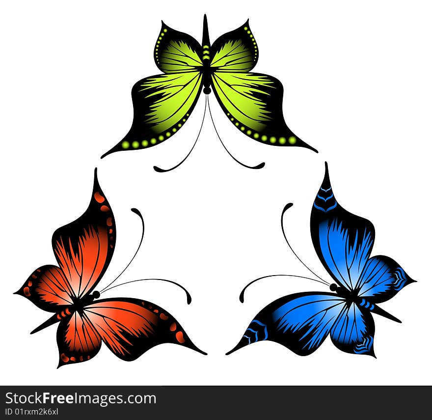 Very beautiful butterflies of different colours