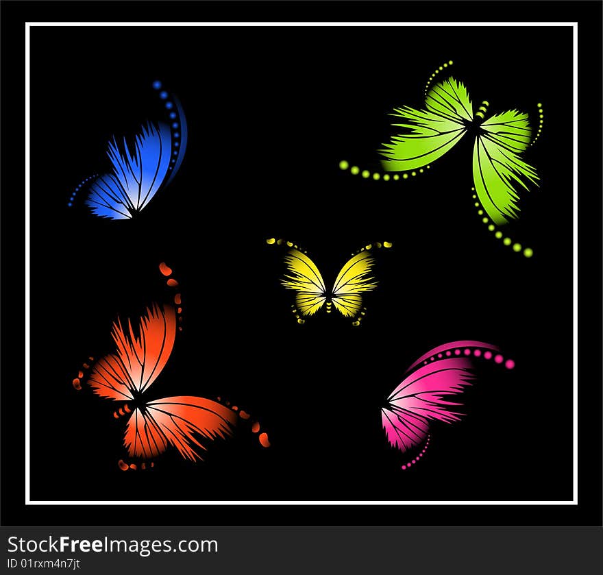 Very beautiful butterflies of different colours