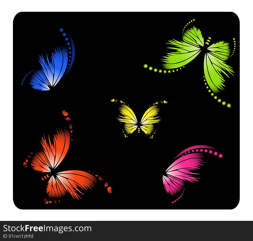 Very beautiful exotic butterflies on a black background