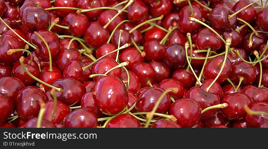 Many Red, Ripe Cherries