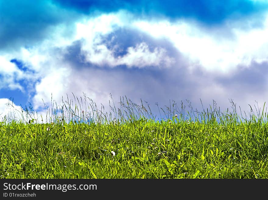 Sunny sky and poisonous grass