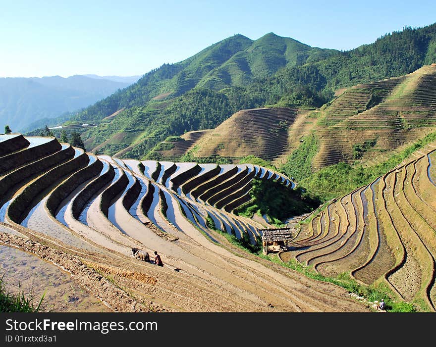 The ancient terrace at an altitude between 300 to 1180 meters, covers an area of 70 square kilometers. The ancient terrace at an altitude between 300 to 1180 meters, covers an area of 70 square kilometers.