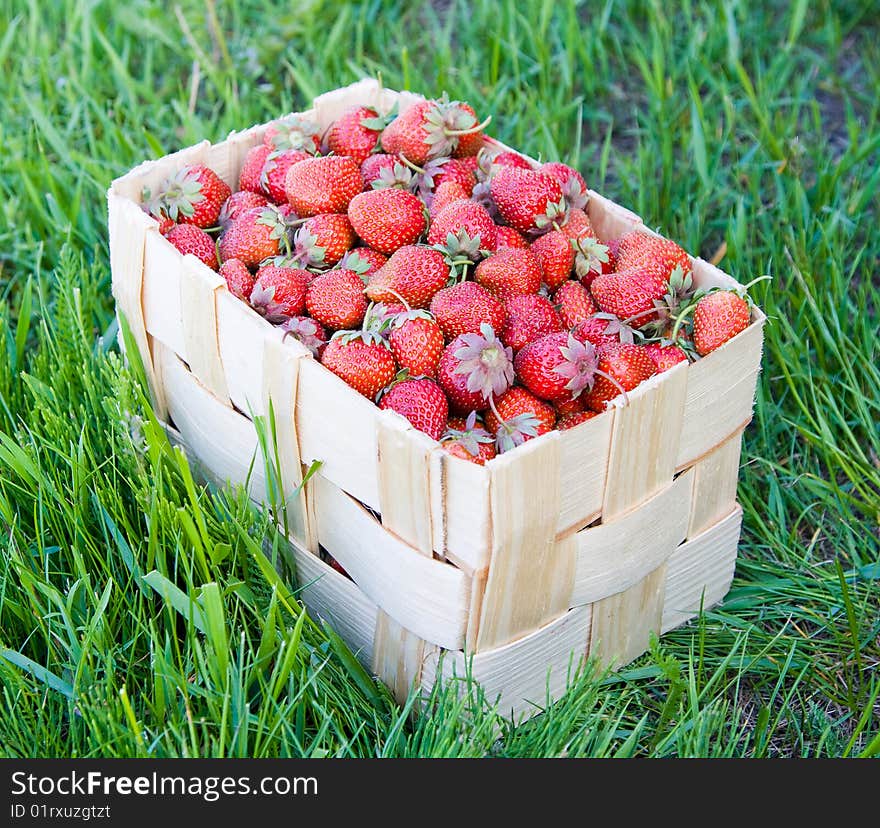 Group of fresh, succulent strawberries