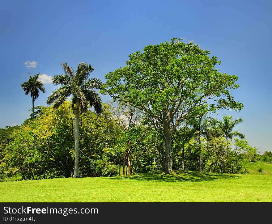 Cuban countryside landscape