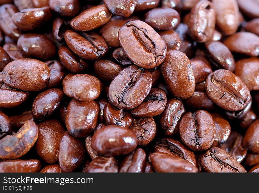 Fresh Coffee Bean Series 03