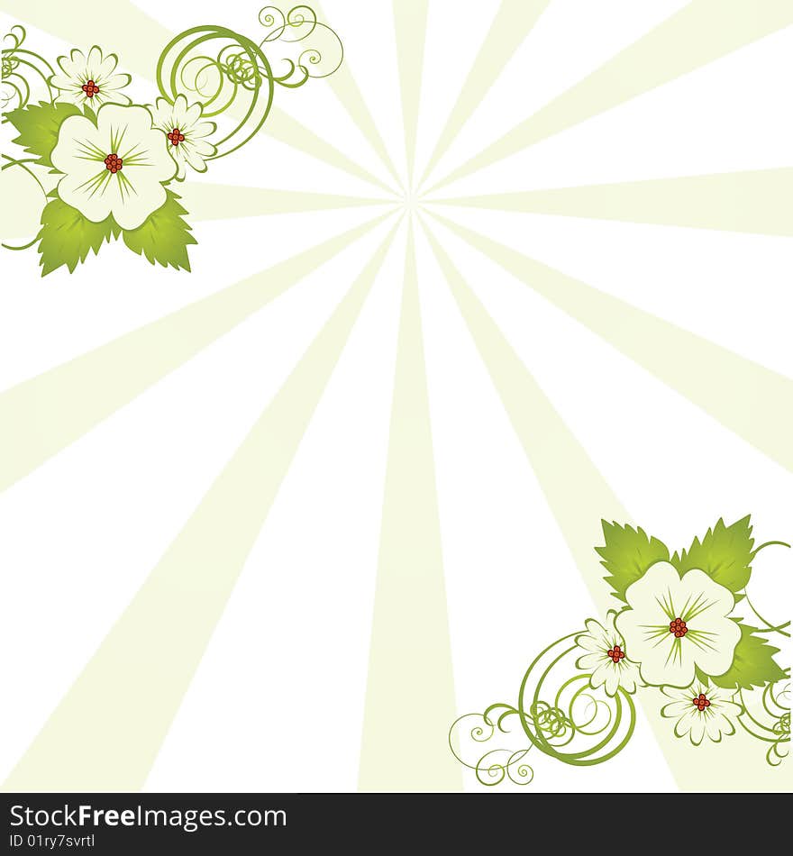 Abstract floral background with place for your text