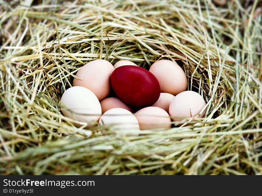 Several fresh eggs and Easter egg in a nest. Several fresh eggs and Easter egg in a nest