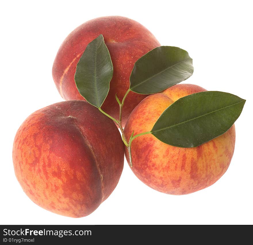 Peaches with leafs on white background