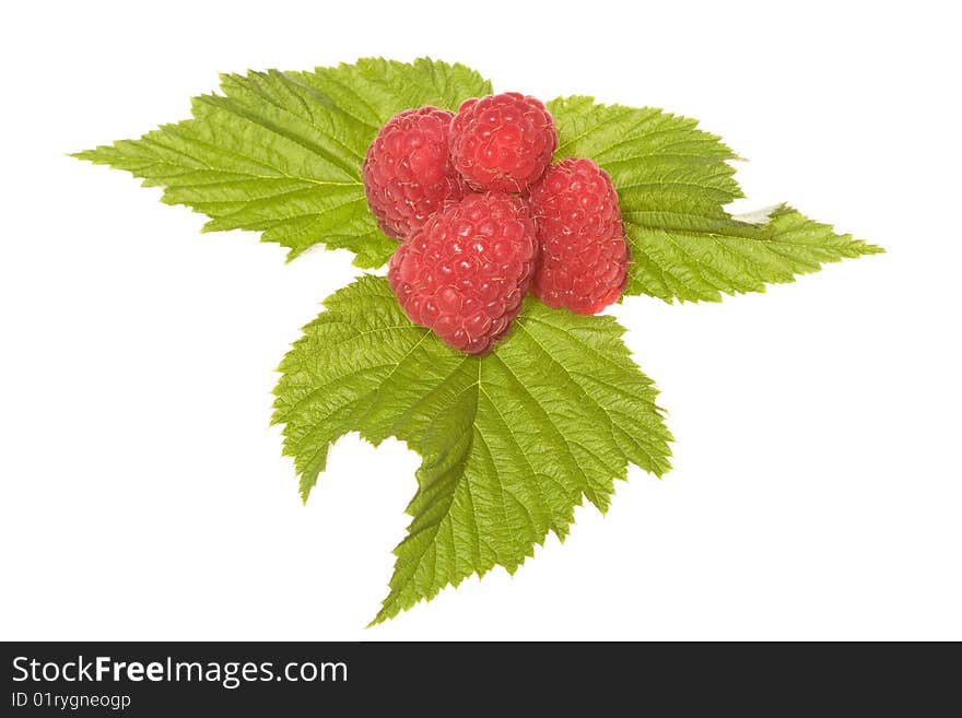 Raspberries with green leaf