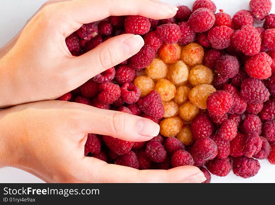 Hand holding berries on white background. Hand holding berries on white background