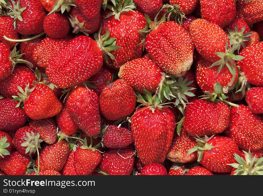 Freshly picked garden strawberries background. Freshly picked garden strawberries background