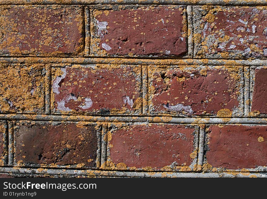 Old mossy brick wall texture. Old mossy brick wall texture