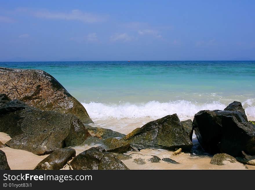 Reef On The Seaside