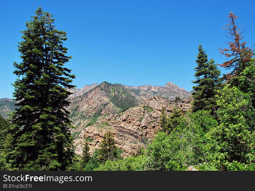 Mountain Landscape