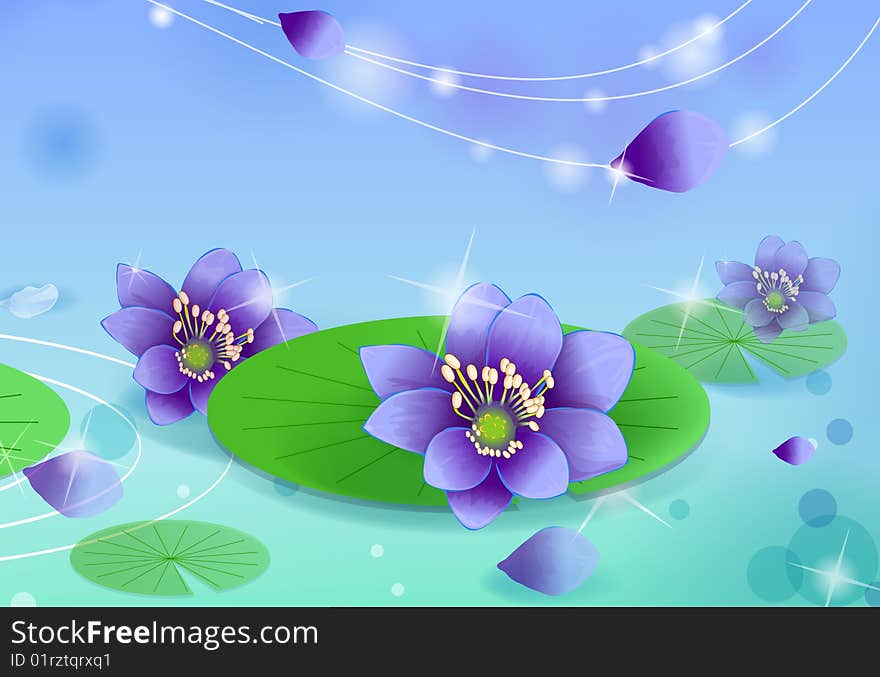 Purple lotus blooming with green leaves in the pind