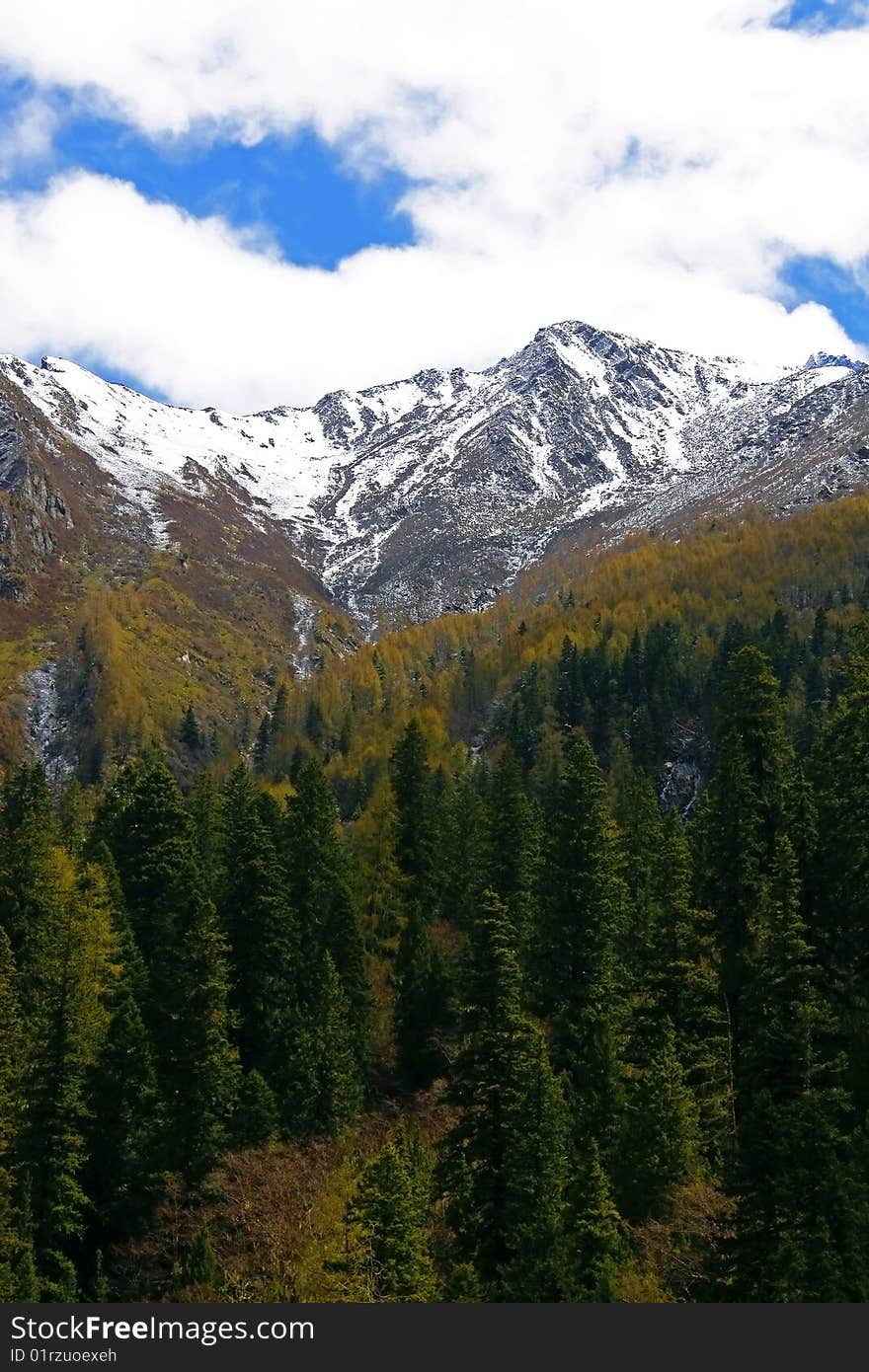 The highest peak of Siguniang Mountains which is consisted of four snow mountains located in Aba, Sichuan, China. The highest peak of Siguniang Mountains which is consisted of four snow mountains located in Aba, Sichuan, China