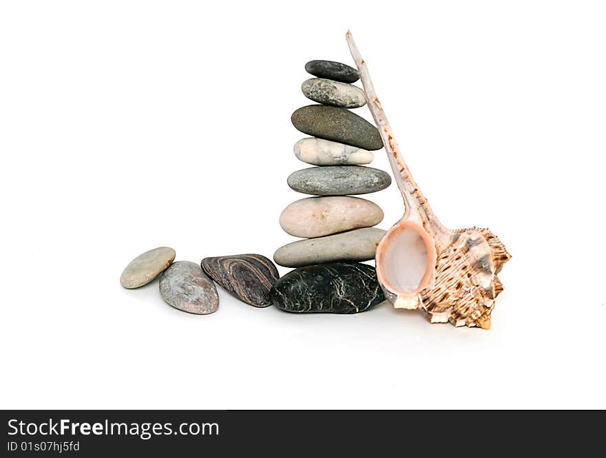 Pile of pebbles and sea shell isolated on white backgrund